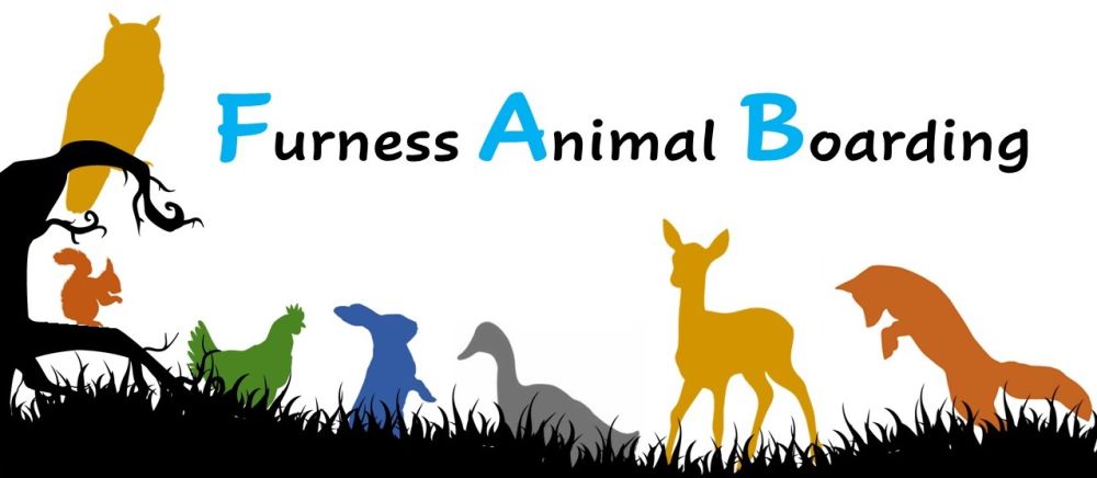 Charity Contact Info Animal Concern Cumbria Rehoming and